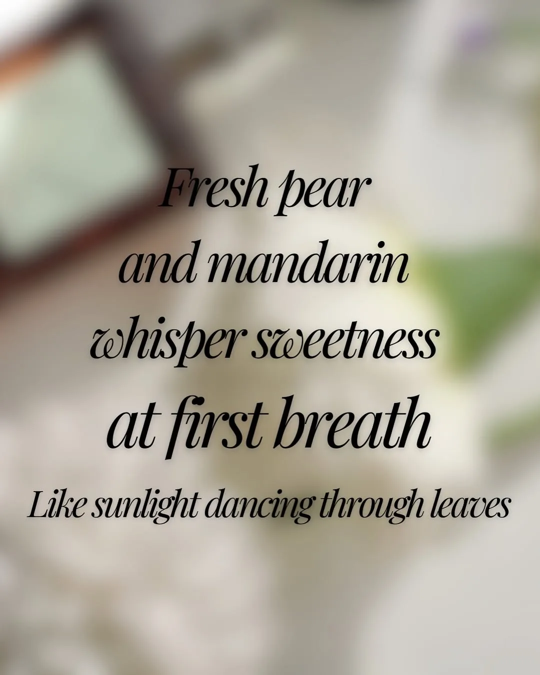 There’s a certain calmness in allure — 3/6